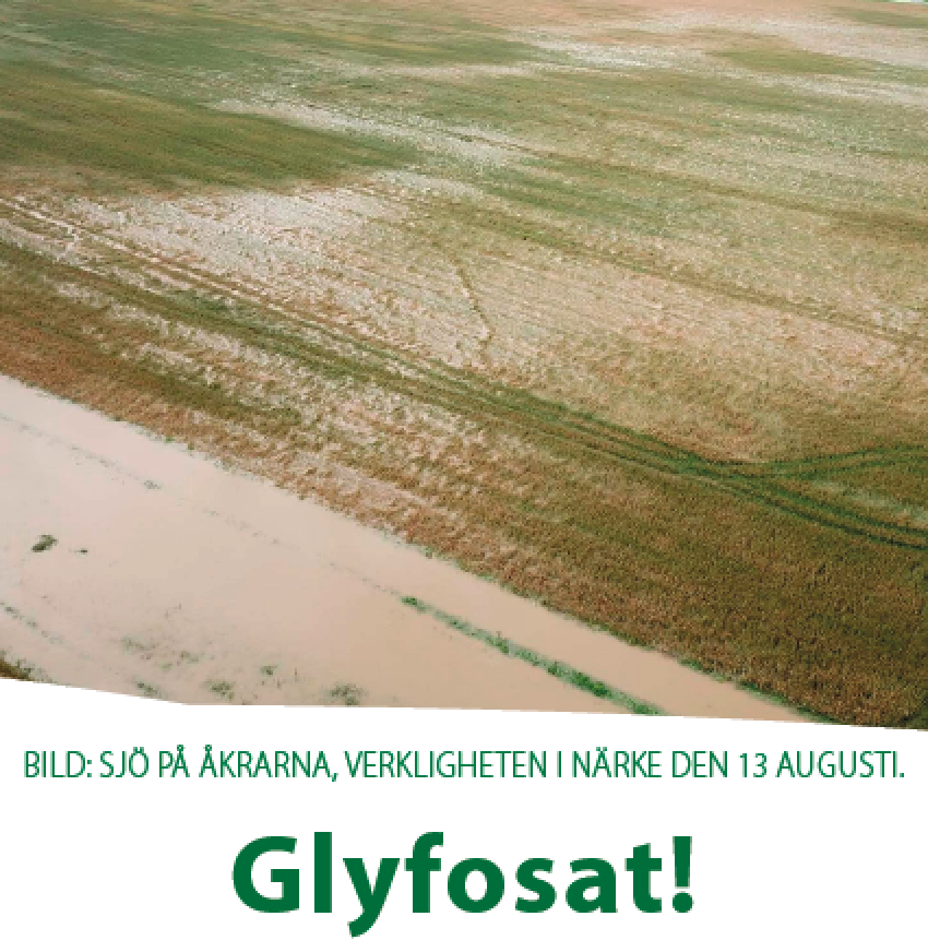 Glyfosat