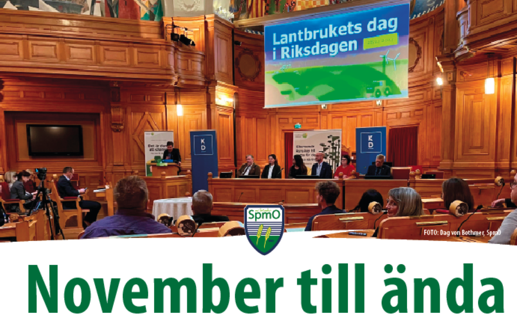 November till ända